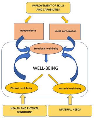 Accounting for Emotional Value: A Review in Disability Organizations